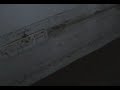 LaLevantaDigital 14072008 Inundaci�n Hdad. Perd�n