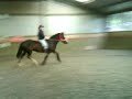 Dain A Course BareBack :-| :-P x