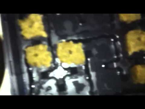 how to transplant seedlings from rockwool
