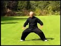 Tai Chi Combat This video can instantly be downloaded on Payloadz. Follow this link store.payloadz.com