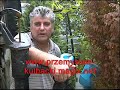HODOWLA KULBACKI , BEZ CHEMII TYLKO NATURA , PART 2 / 3