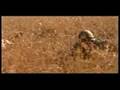 BBC: The Boer War - Part 2