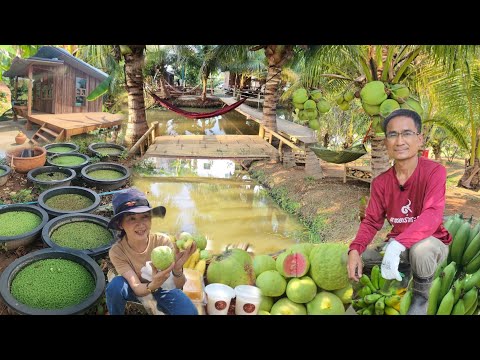 เกษตรพอเพียงในพื้นที่​ 3 ไร่ ผลผลิต​เต็มสวน​แนวทางต่อยอดดีมาก สร้างรายได้ทุกวัน