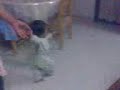 Muhammad Hariz Hakimi berjalan