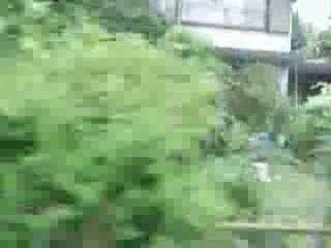 江の電
