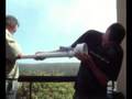 Potato Gun