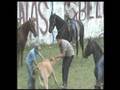 Septiembre 2008 #10