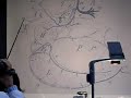 unaczynnienie przezuwacz uwm anatomia unaczynnienie przezuwacz uwm anatomia