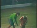 videos de 1. KEVIN KEEGAN SOCCER HIGHLIGHTS 1994