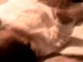 videos de mas tierno (L