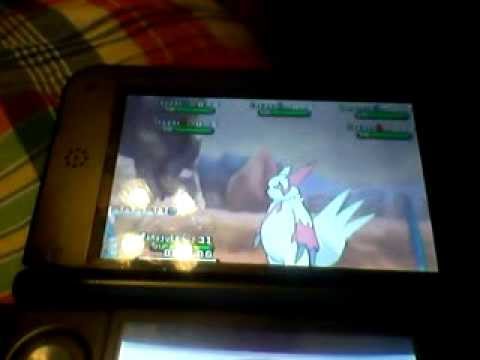how to catch zangoose in pokemon y