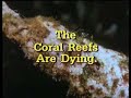 Ben Cropp's Coral Reefs Are Dying Preview Ben Cropp's Coral Reefs Are Dying Preview