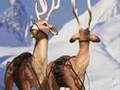 Reindeer Games