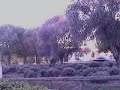 jojumaru : g i joju