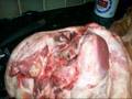 videos de halloween pigs head