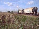 R4C 6602 met een graantrein