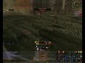 Leetskillz