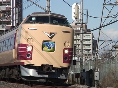 高崎線 特急水上98号(9098M) 絵入りヘッドマークの183系!!