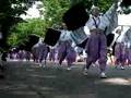 '07 Super Yosakoi / スーパーよさこい〜京町・新京橋ゑびす・しばてん連