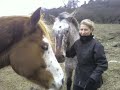 club-d-quitation-du-lyce-agricole-daurillac-.html