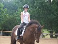 Bailey - Dressage