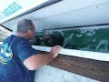 Baja Anglers-Grant feeding wild sea lion Baja Anglers-Grant feeding wild sea lion