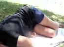 flordi siesta 2