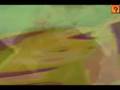 videos de yes