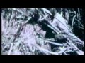 Fidel Castro Et Les Etats-unis - Histoire
