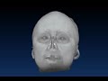 Human head volume rendering