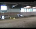 Galop 4 Jardy