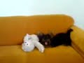 lu o terror das bonequinhas ... parte 2