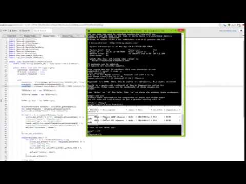 how to read json file in java
