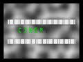 multimedia.wmv