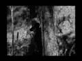 BUNYIP HUNTERS