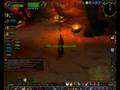 Divus - WS Run