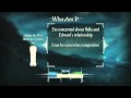 Scene it Twilight , Testbericht , Wii , 1 3