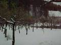 Agroturystyka U Janiny