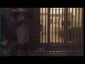 videos de tpp-TV-002