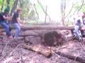videos de The 