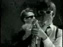 The Hives - A.K.A. I.D.I.OT.