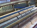 Bluthner 1890's Upright Piano Playing Chopin Black Key Etude