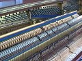 Bluthner 1890's Upright Piano Playing Chopin Black Key Etude