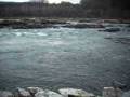 Lap Dog Kayaking Whitewater