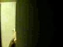 Us Scaring Ryan Us Scaring Ryan