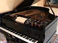 Richard Lipp Player Grand \"Blue Danube Waltz\" Richard Lipp Player Grand \"Blue Danube Waltz\"