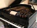 Richard Lipp Player Grand Blue Danube Waltz