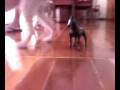 videos de VIDEO 020