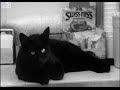 clerks - 37