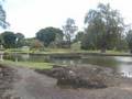 Hilo Town